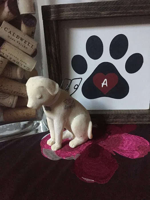 Paws at Home Picture 2