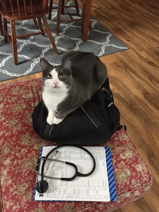 Paws at Home Picture 6