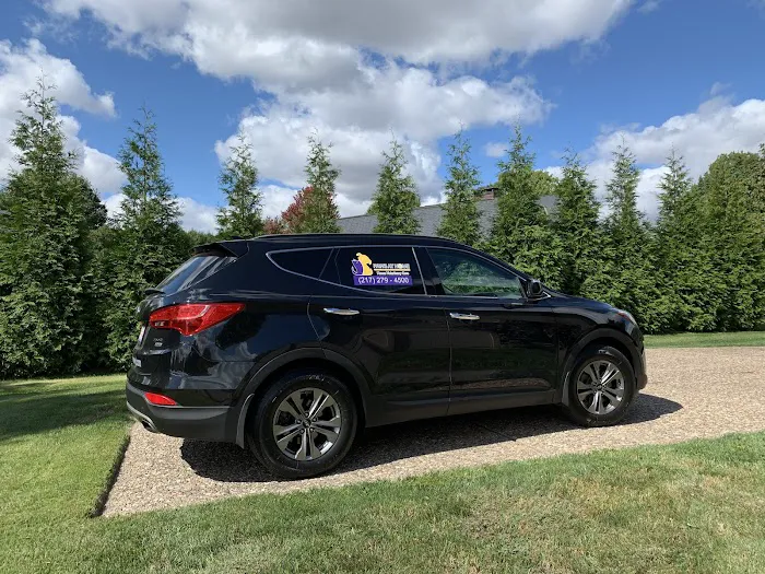 Paws at Home Picture 10