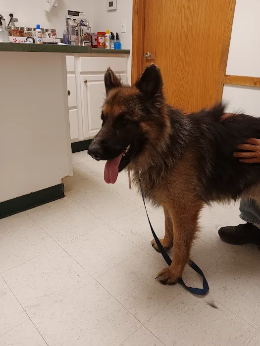 Canton Veterinary Clinic, L.L.C. Picture 2