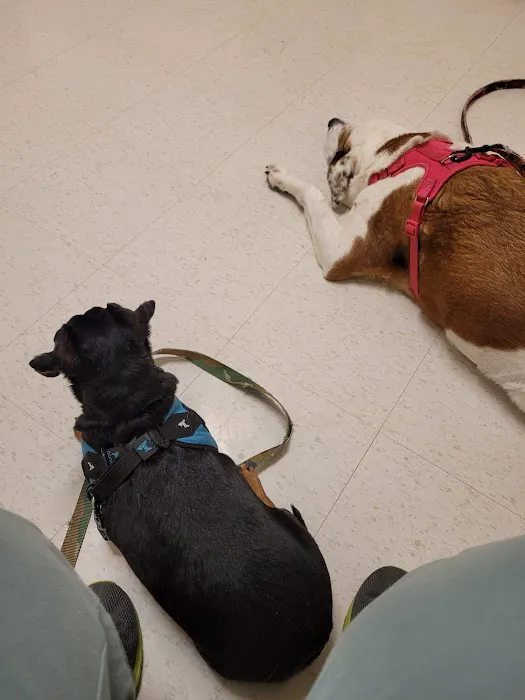 Canton Veterinary Clinic, L.L.C. Picture 8