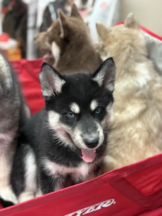 Rushville Veterinary Clinic Picture 1