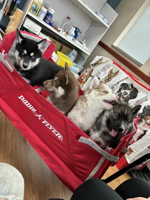 Rushville Veterinary Clinic Picture 2