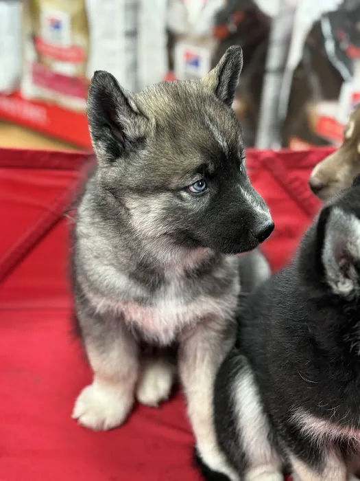 Rushville Veterinary Clinic Picture 5