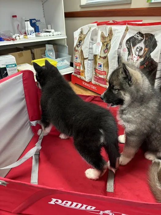 Rushville Veterinary Clinic Picture 3