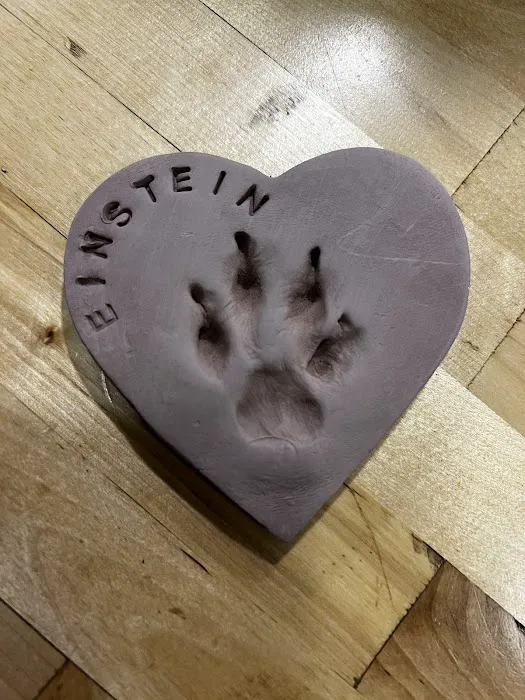 Canton Veterinary Clinc- Palmyra Picture 2