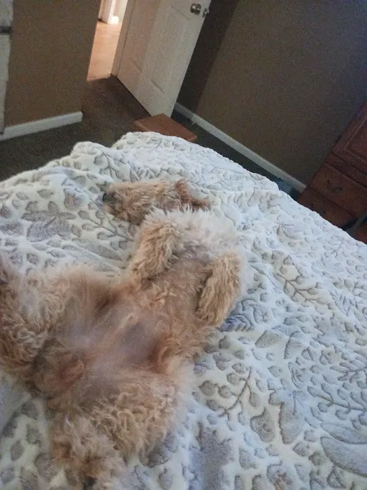 Canton Veterinary Clinc- Palmyra Picture 1