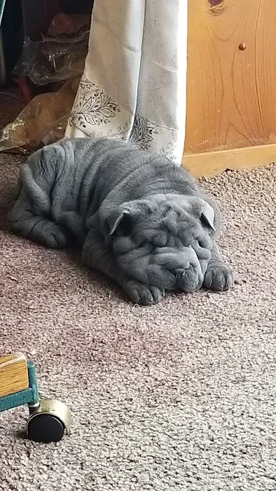 Canton Veterinary Clinc- Palmyra Picture 4