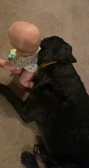 Canton Veterinary Clinc- Palmyra Picture 6