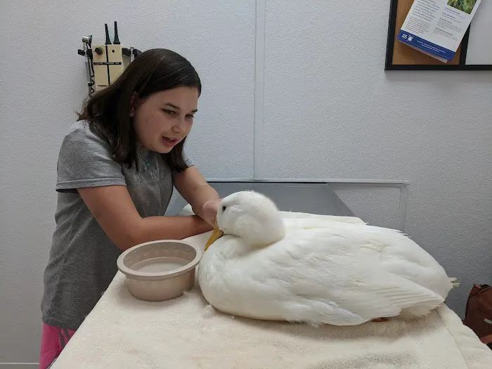 Canton Veterinary Clinc- Palmyra Picture 9