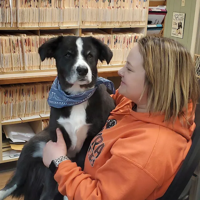 Agri-Med Veterinary Clinic Inc Picture 4