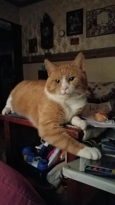 Agri-Med Veterinary Clinic Inc Picture 3