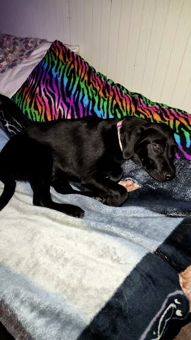 Agri-Med Veterinary Clinic Inc Picture 2