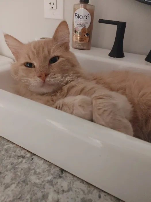 Agri-Med Veterinary Clinic Inc Picture 8