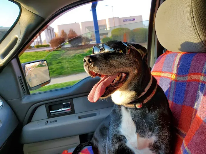 Agri-Med Veterinary Clinic Inc Picture 5