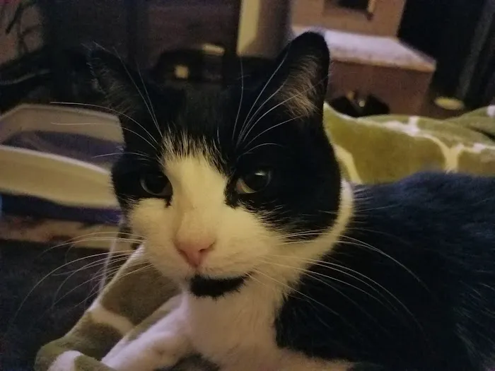 Agri-Med Veterinary Clinic Inc Picture 6