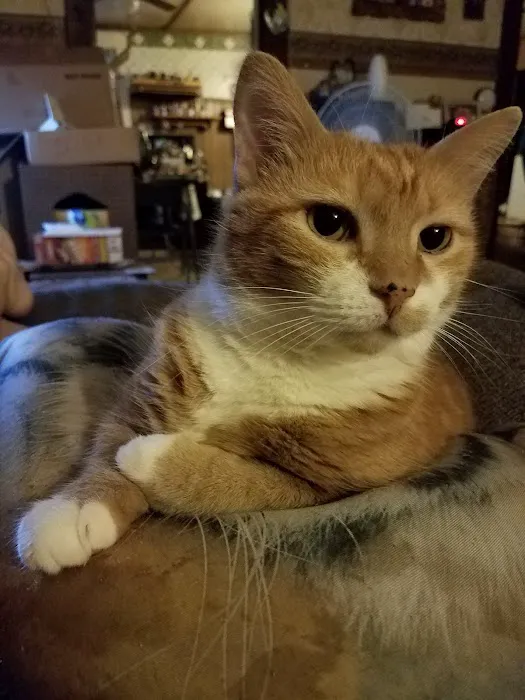 Agri-Med Veterinary Clinic Inc Picture 7