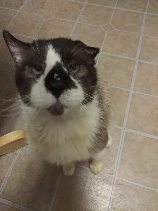 Agri-Med Veterinary Clinic Inc Picture 9