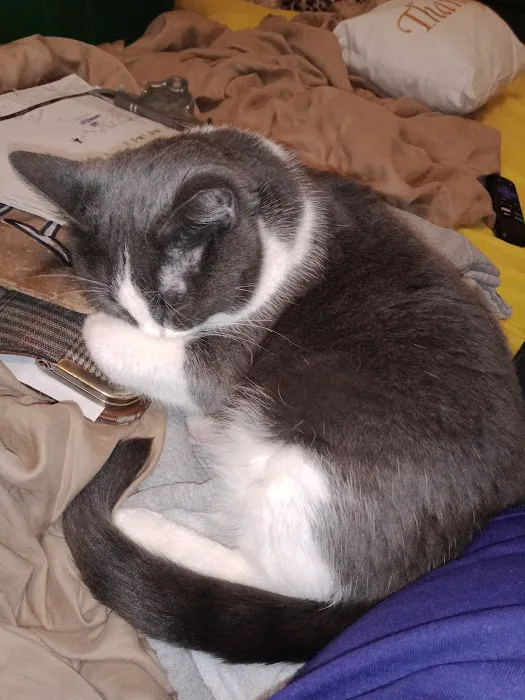 Agri-Med Veterinary Clinic Inc Picture 10