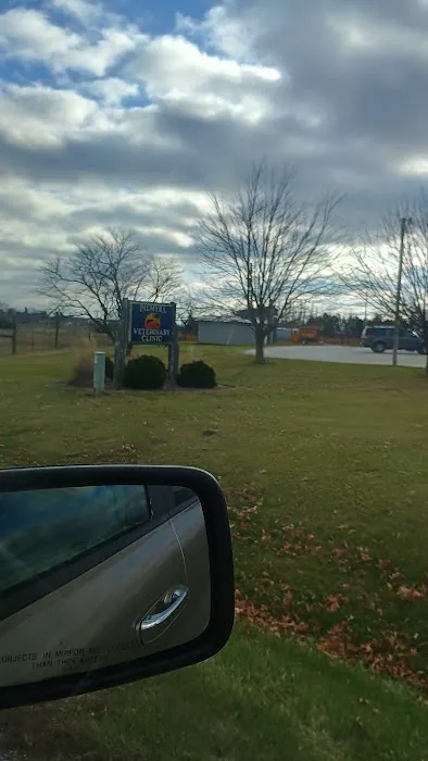 Palmya Veterinary Clinic, LLC Picture 1