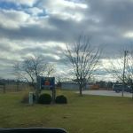 Palmya Veterinary Clinic, LLC