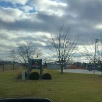 Palmya Veterinary Clinic, LLC ico