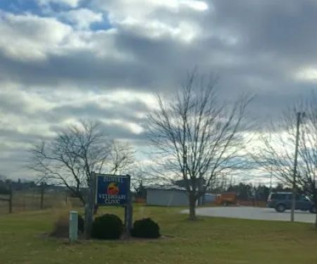 Palmya Veterinary Clinic, LLC