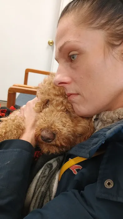 Palmya Veterinary Clinic, LLC Picture 2