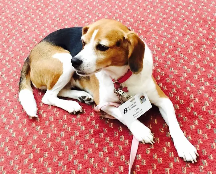 VCA Advanced Animal Hospital Picture 2