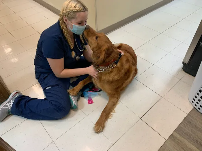 VCA Advanced Animal Hospital Picture 3