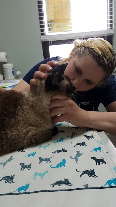 VCA Advanced Animal Hospital Picture 8