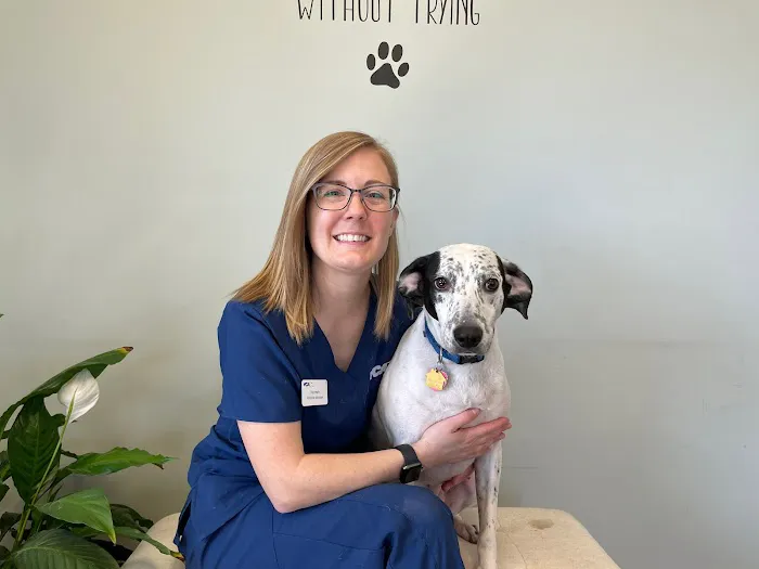 VCA Advanced Animal Hospital Picture 7