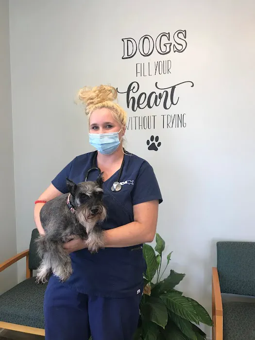 VCA Advanced Animal Hospital Picture 6