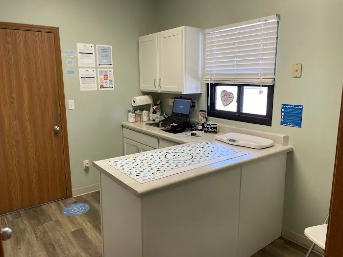 VCA Advanced Animal Hospital Picture 5