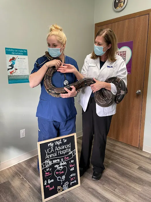 VCA Advanced Animal Hospital Picture 9