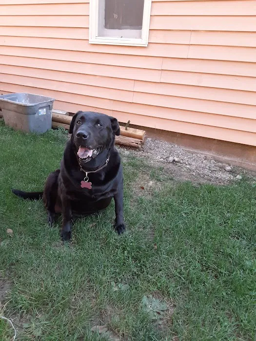 Hannibal Veterinary Clinic Picture 2