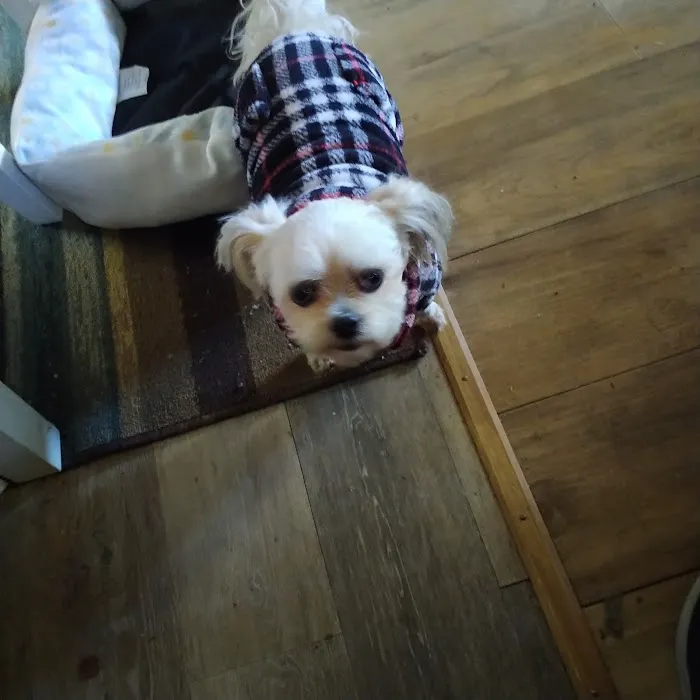 Hannibal Veterinary Clinic Picture 5