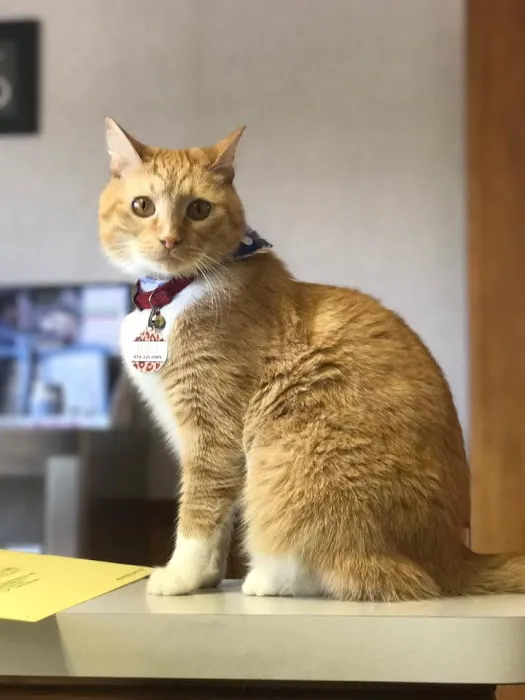 Hannibal Veterinary Clinic Picture 8