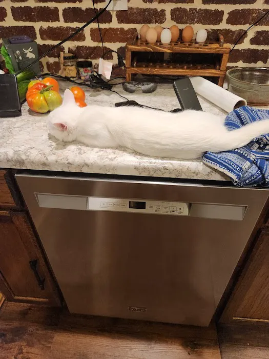 General Veterinary Clinic Picture 2