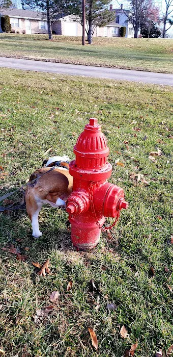 General Veterinary Clinic Picture 5