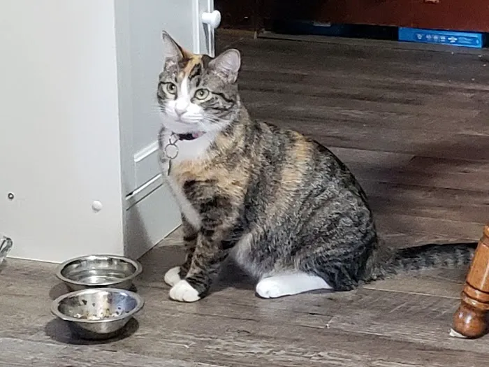 General Veterinary Clinic Picture 3