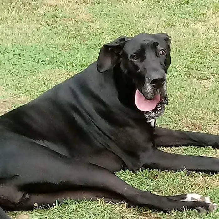 General Veterinary Clinic Picture 9