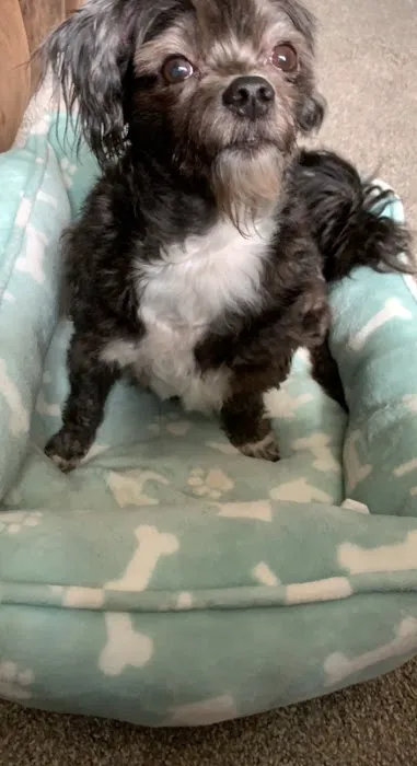 General Veterinary Clinic Picture 8