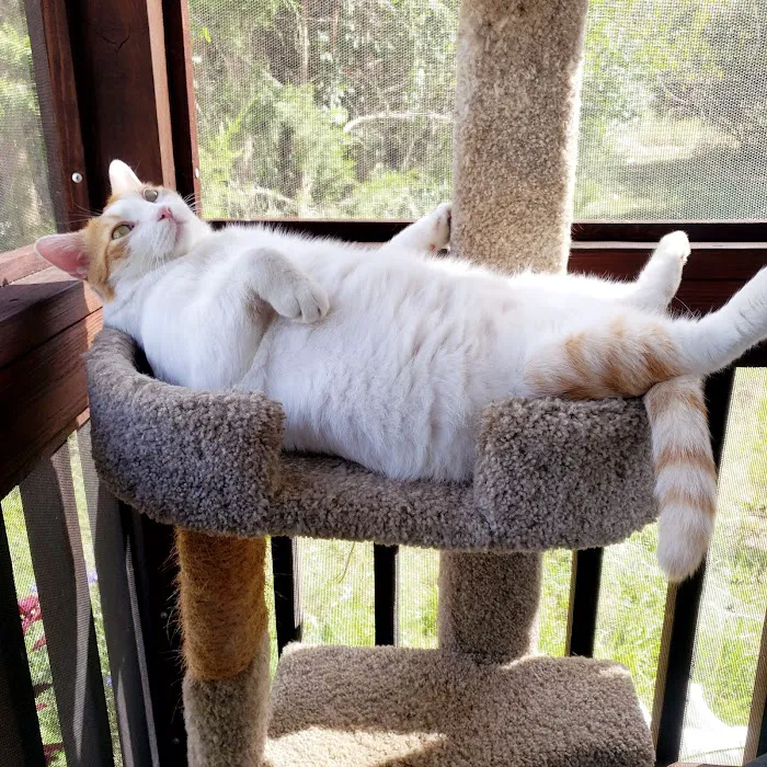 General Veterinary Clinic Picture 7