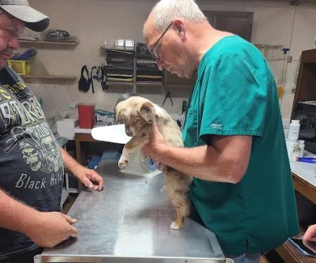 Country View Vet Service