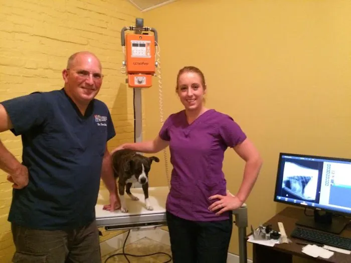 Country View Vet Service Picture 3