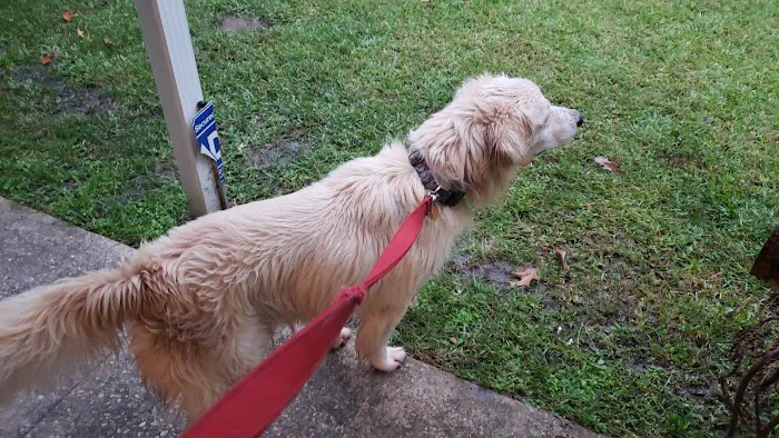 Buna Animal Hospital Picture 4