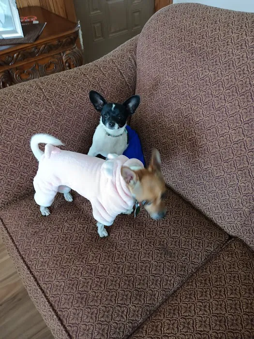 Buna Animal Hospital Picture 1