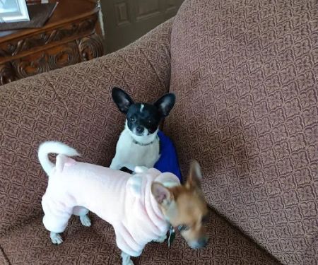 Buna Animal Hospital