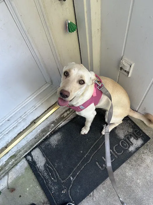 Buna Animal Hospital Picture 9